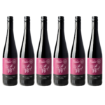 Aronia-Paket (6x Aronia)