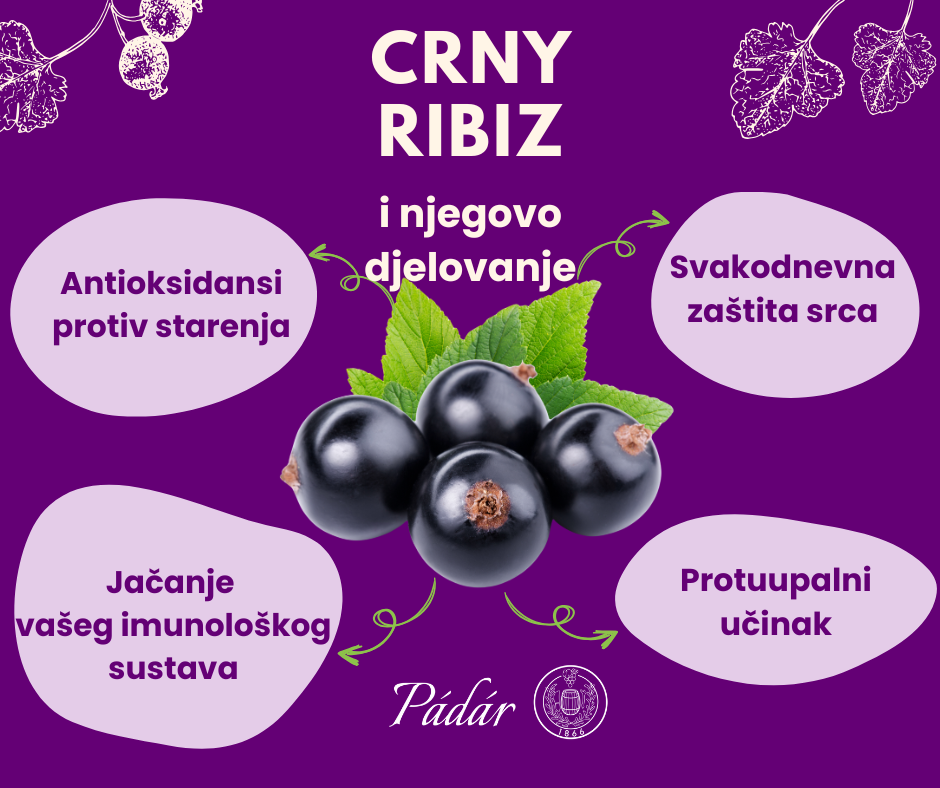 padar infografika hr