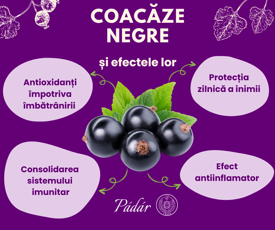 padar infografika ro