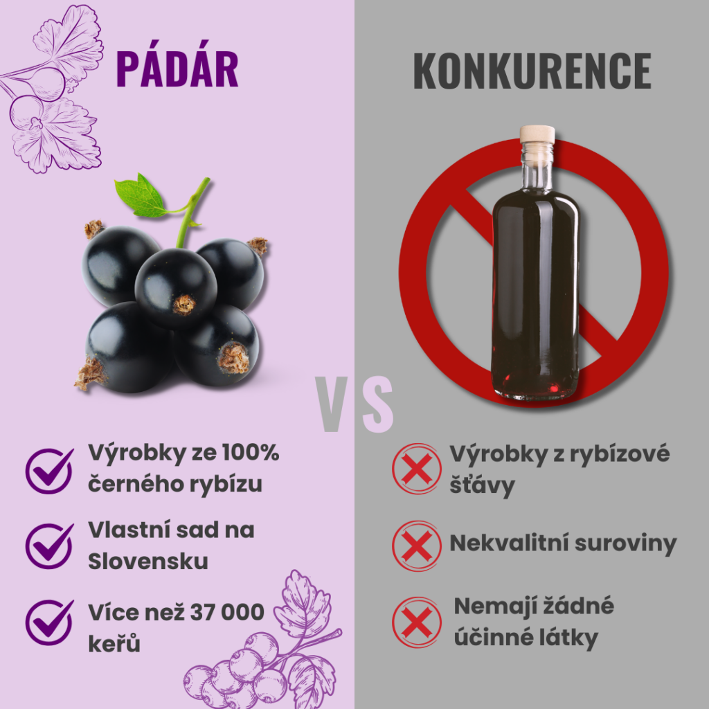 padar vs competition cs
