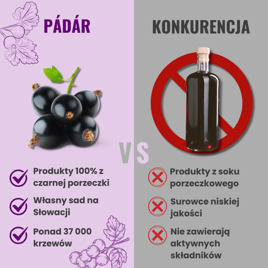 padar vs competition pl