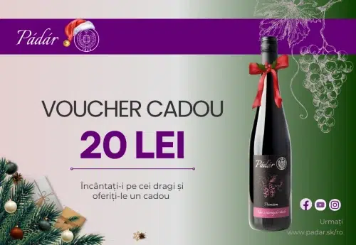 voucher cadou în valoare de 20 lei