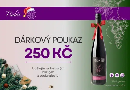 dárkový poukaz v hodnotě 250 kč